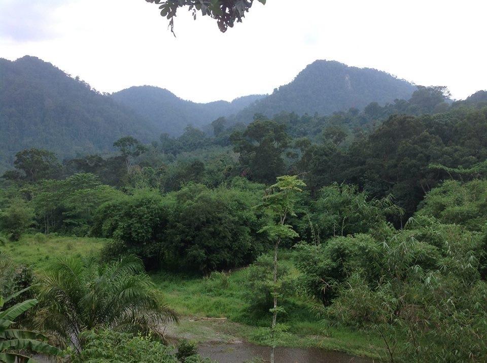 Batu Kapal Jungle Houses Hotel Berastagi Ngoại thất bức ảnh