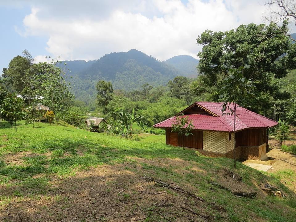 Batu Kapal Jungle Houses Hotel Berastagi Ngoại thất bức ảnh